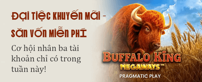 Tải ứng dụng B29