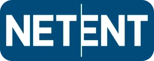Visa icon